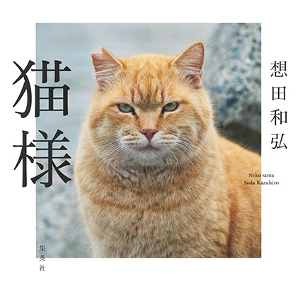 猫様 想田和弘